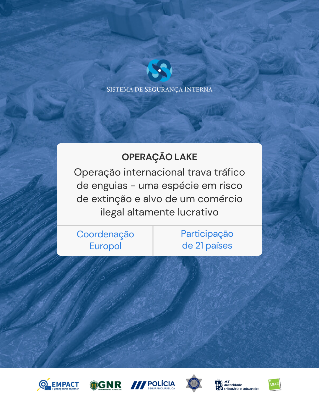 Operação EMPACT no combate ao tráfico de enguias